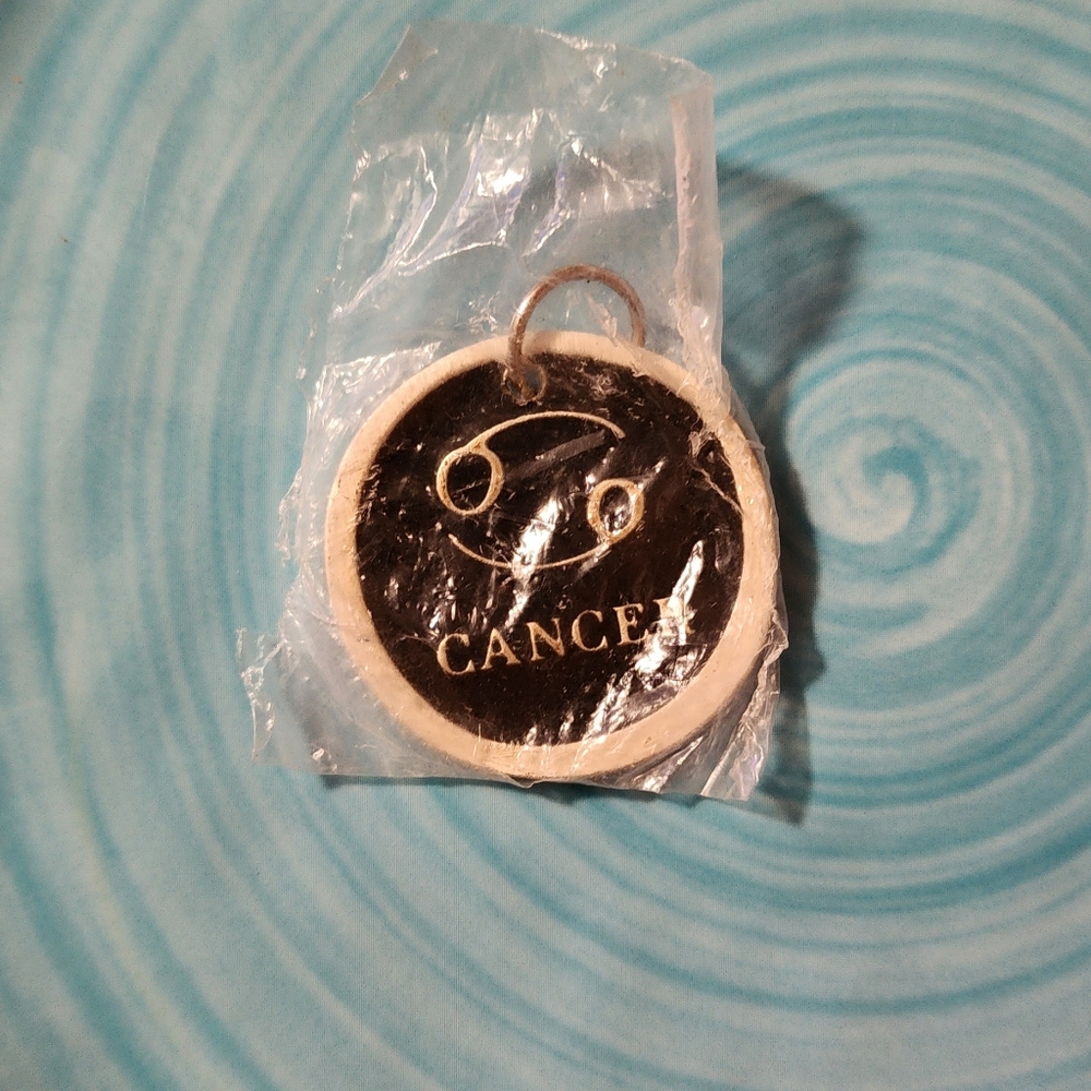 SILVER AND BLACK CANCER SIGN CHARM OR PENDANT